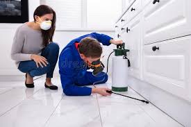 Best Fumigation Services  in Eielson Af, AK